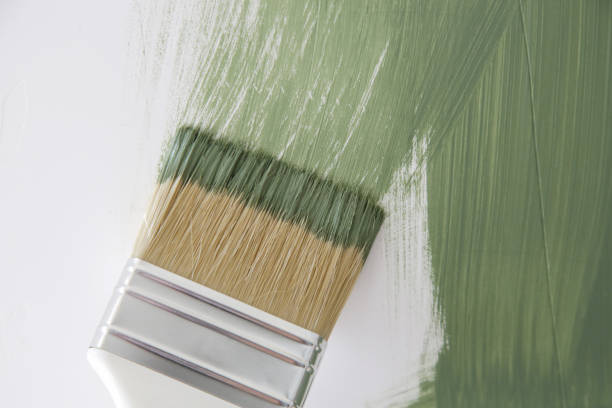 Best Mold Documentation for Insurance Claims  in Waxahachie, TX