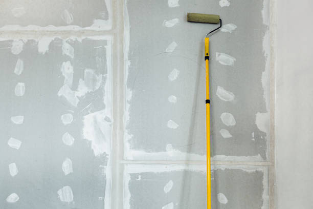  Waxahachie, TX Mold Removal Pros