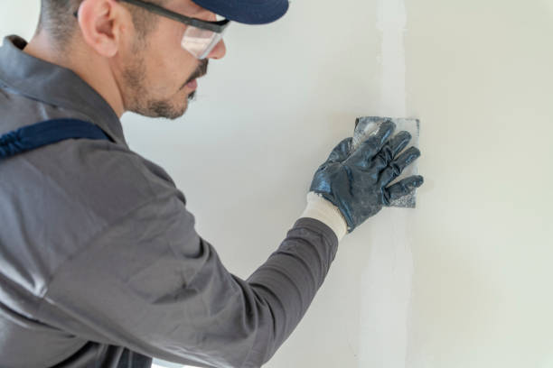 Best Post-Remediation Verification Testing  in Waxahachie, TX